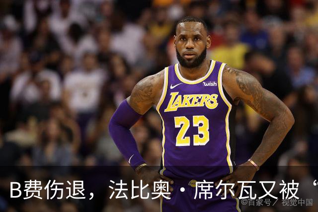 B费伤退，法比奥·席尔瓦又被“抛弃